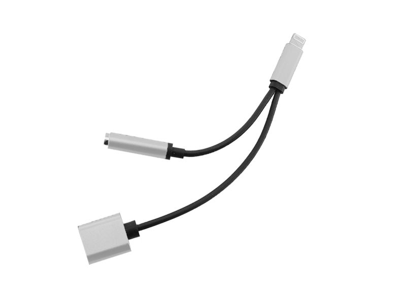 Lightning to headphone Jack Silver Cable